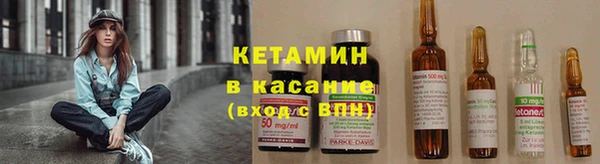 прущие грибы Надым