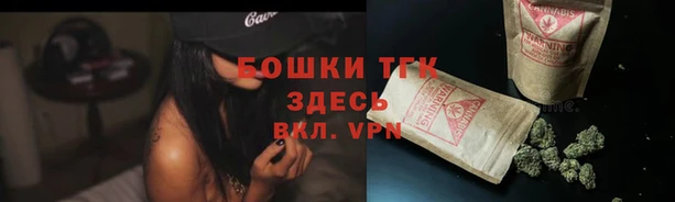 дурь Нея