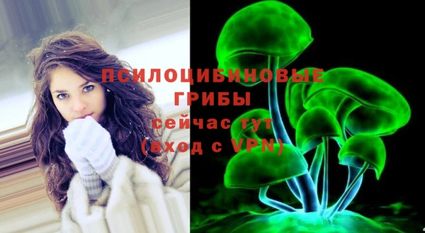 ПСИЛОЦИБИНОВЫЕ ГРИБЫ Нефтекумск