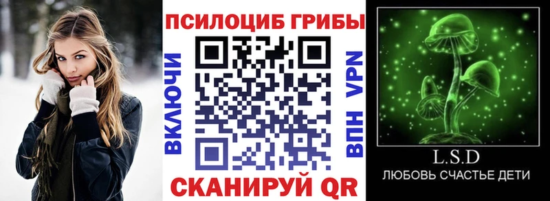 купить   Шимановск  Псилоцибиновые грибы Cubensis 
